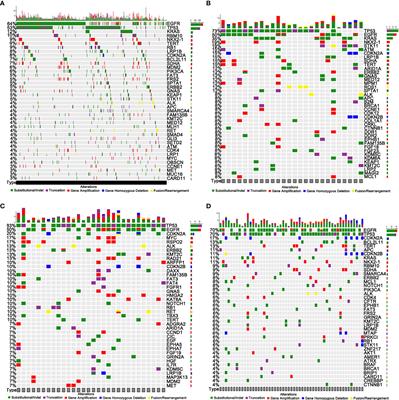 Genomic Features of Organ-Specific Metastases in Lung Adenocarcinoma